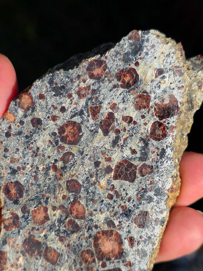Tranche d'Eclogite à Grenats du Val d'Aoste