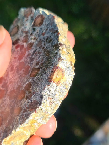 Tranche d'Eclogite à Grenats du Val d'Aoste