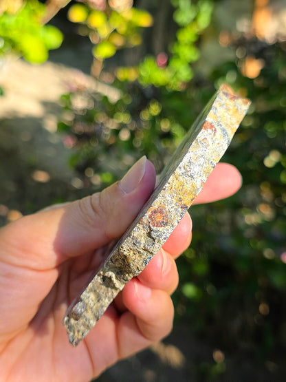 Tranche d'Eclogite à Grenats (variété Pyrope) d'Italie