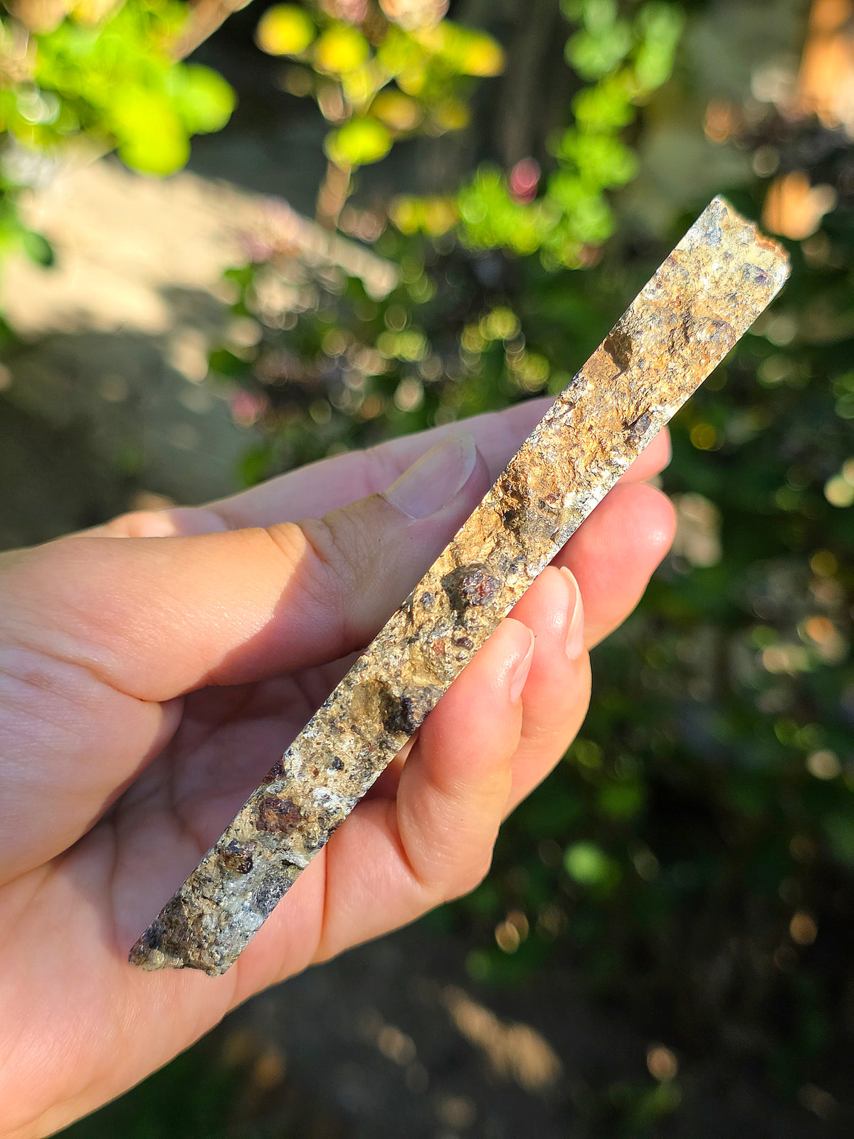Tranche d'Eclogite à Grenats (variété Pyrope) d'Italie