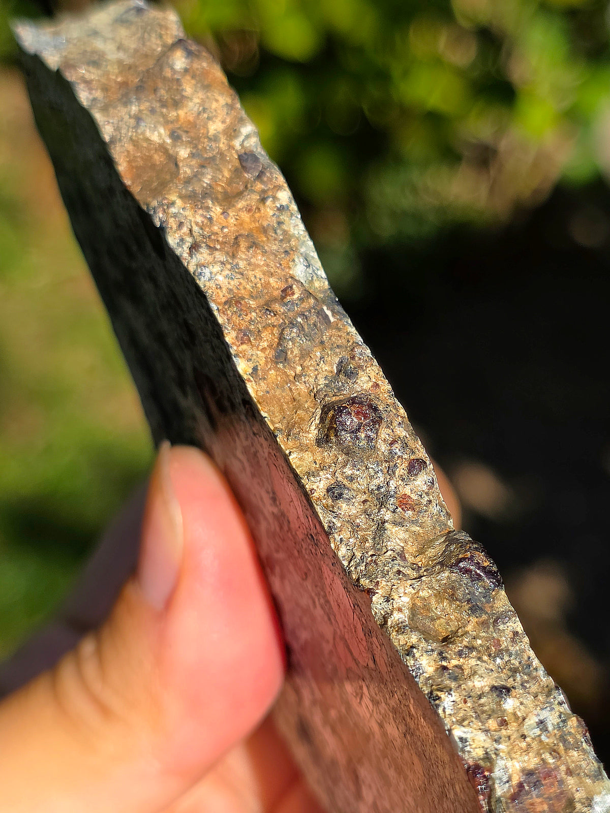 Tranche d'Eclogite à Grenats (variété Pyrope) d'Italie