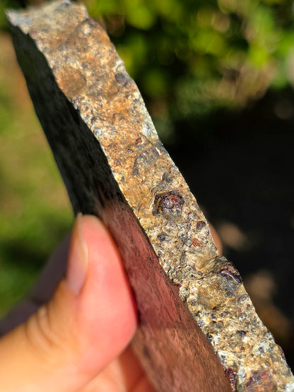 Tranche d'Eclogite à Grenats (variété Pyrope) d'Italie