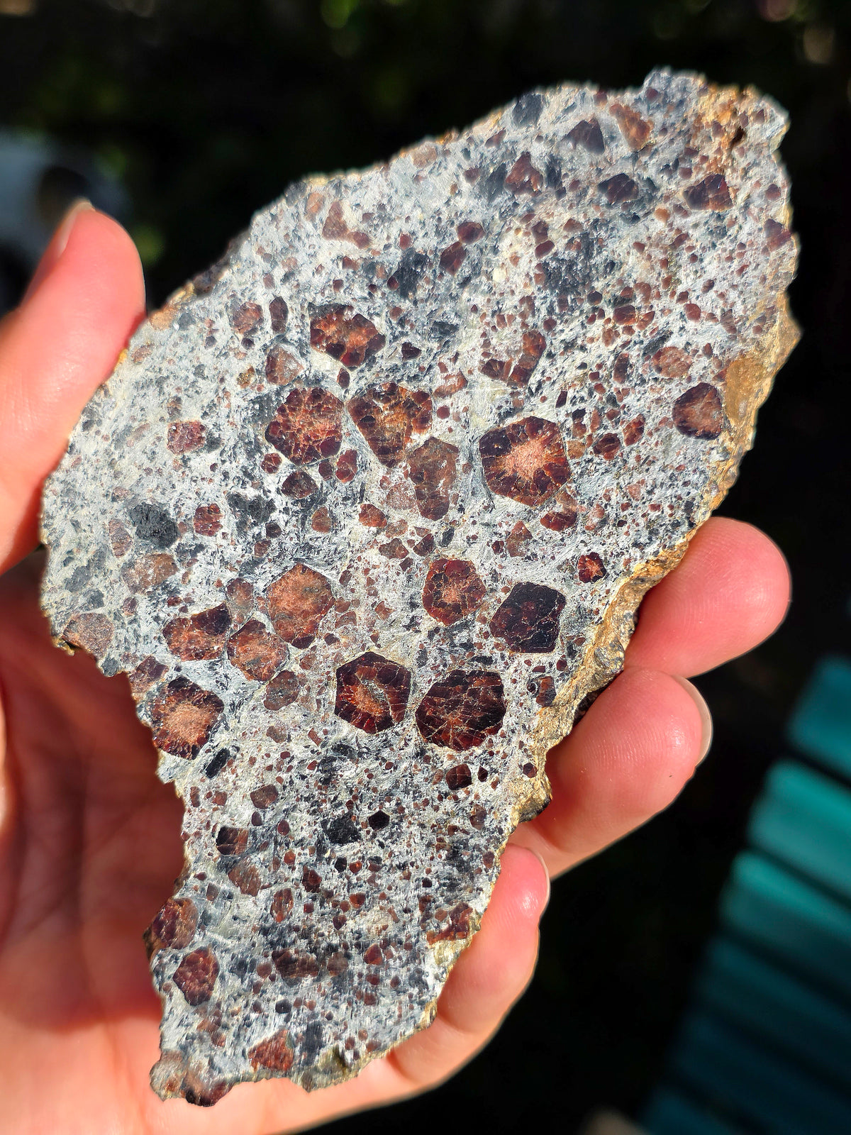 Tranche d'Eclogite à Grenats (variété Pyrope) d'Italie