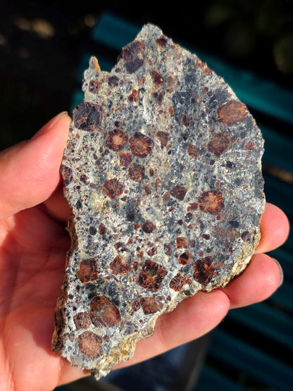 Tranche d'Eclogite à Grenats Pyropes d'Italie.