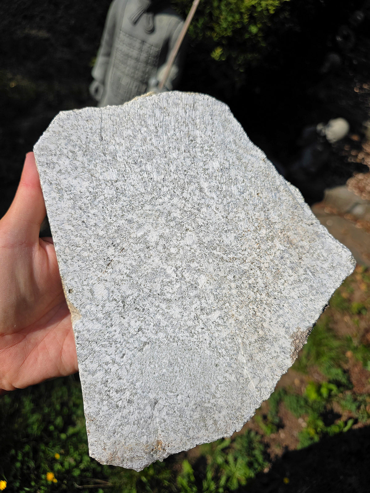 Grande plaque de Quartz et Quartz fumé d'Arrens dans les Hautes- Pyrénées.