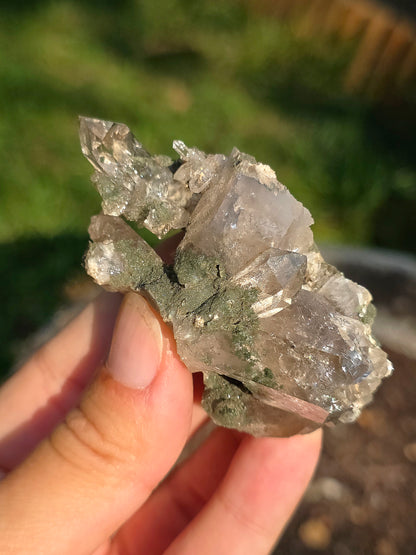 Quartz Chlorite d'Arrens, Pyrénées, France