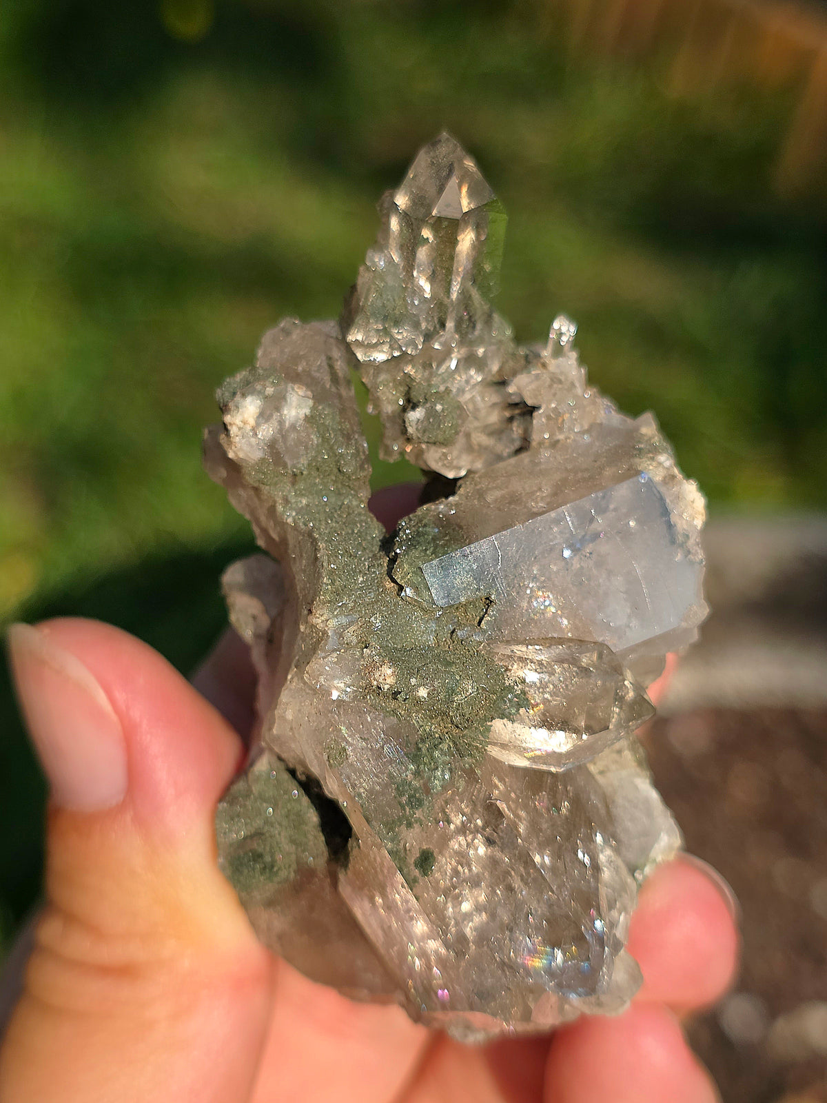 Quartz Chlorite d'Arrens, Pyrénées, France