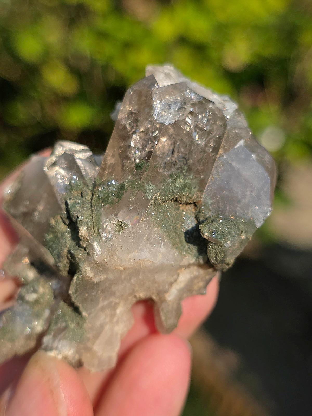 Quartz Chlorite d'Arrens, Pyrénées, France