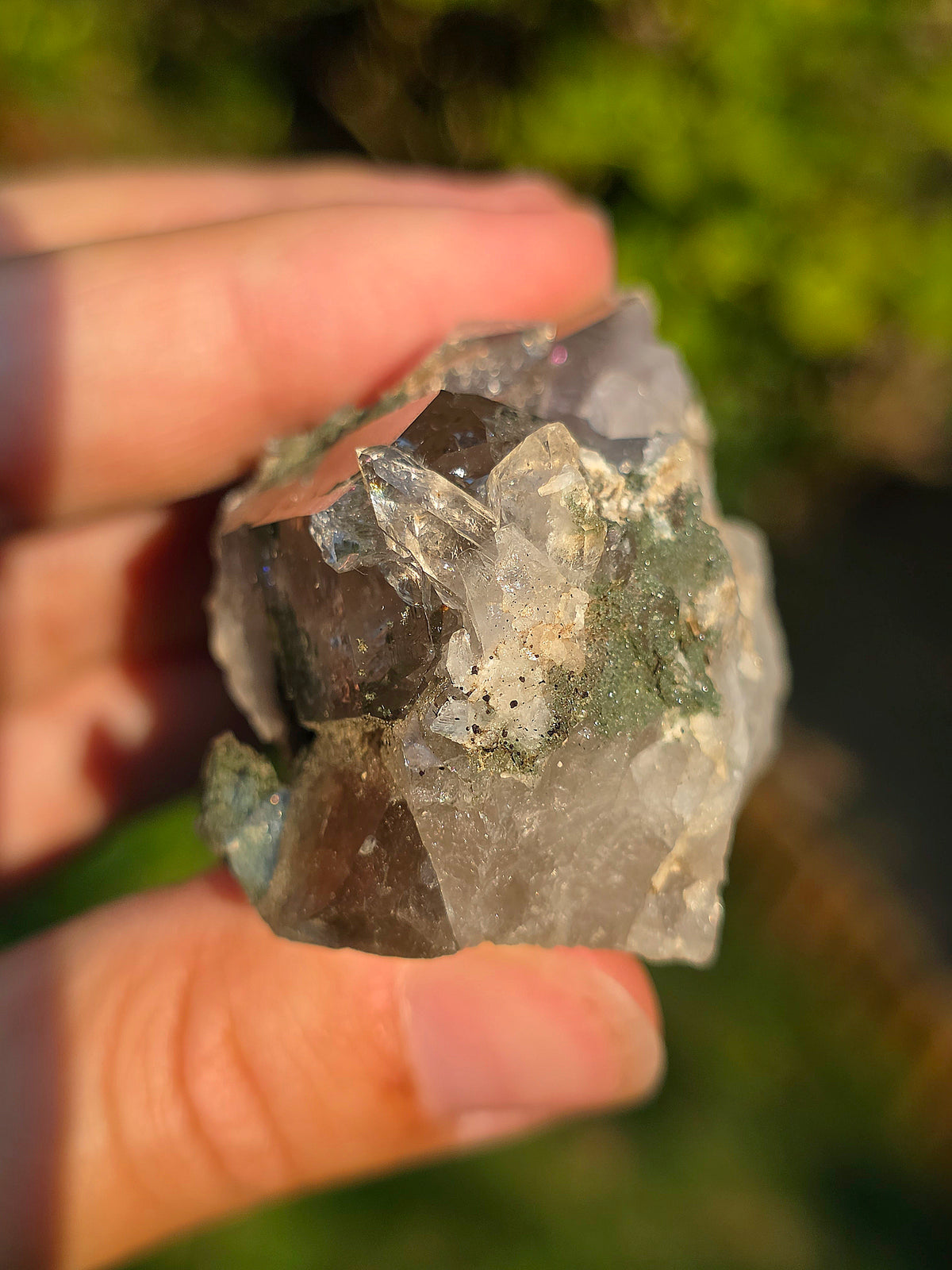 Quartz Chlorite d'Arrens, Pyrénées, France