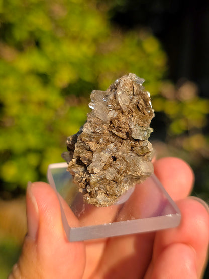 Quartz avec Chlorite et épidote français