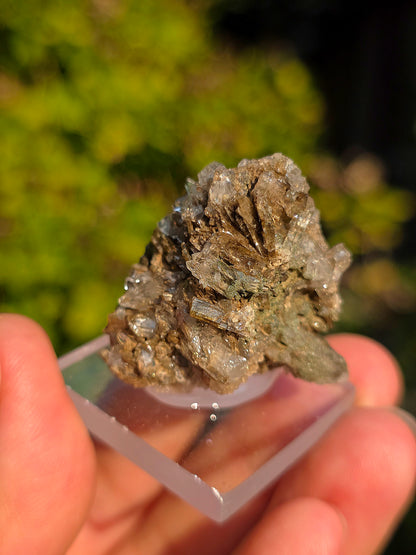 Quartz avec Chlorite et épidote des Pyrénées