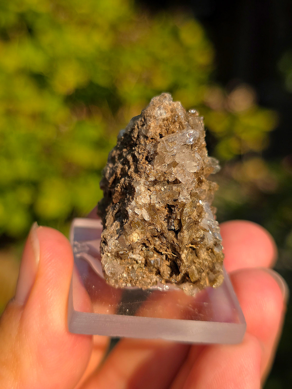 Quartz avec Chlorite et épidote des Pyrénées