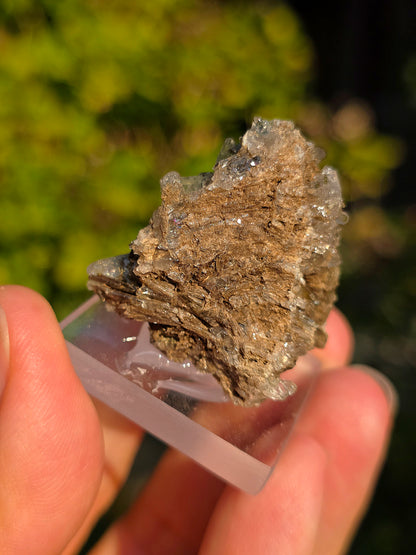 Quartz avec Chlorite et épidote des Pyrénées