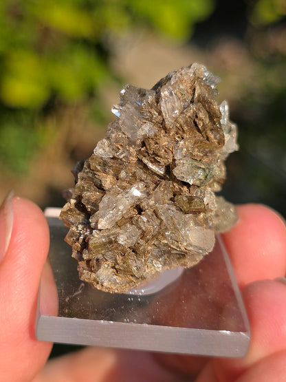 Quartz avec Chlorite et épidote des Pyrénées