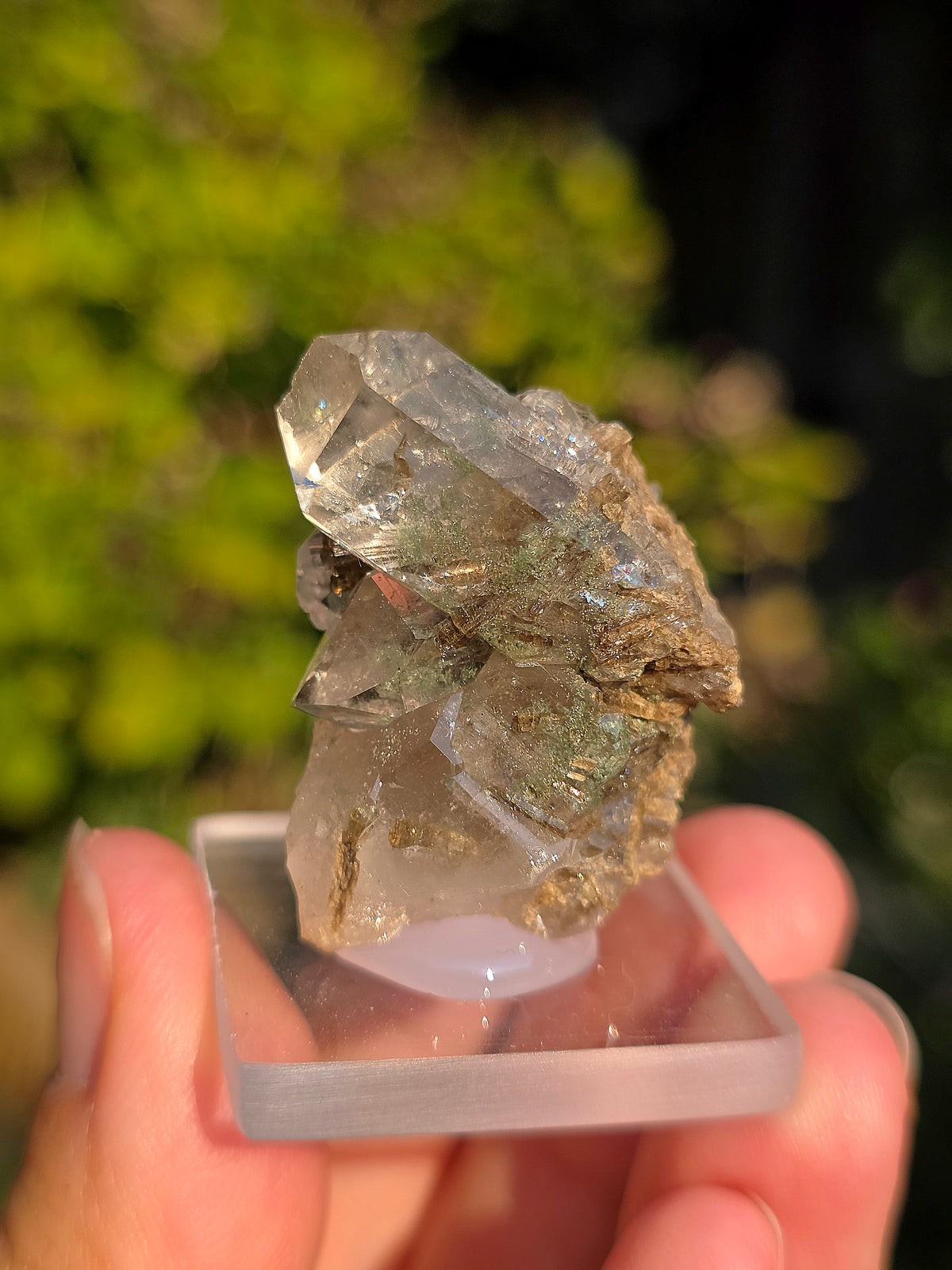 Quartz avec Chlorite et épidote d'Arrens, Pyrénées, France
