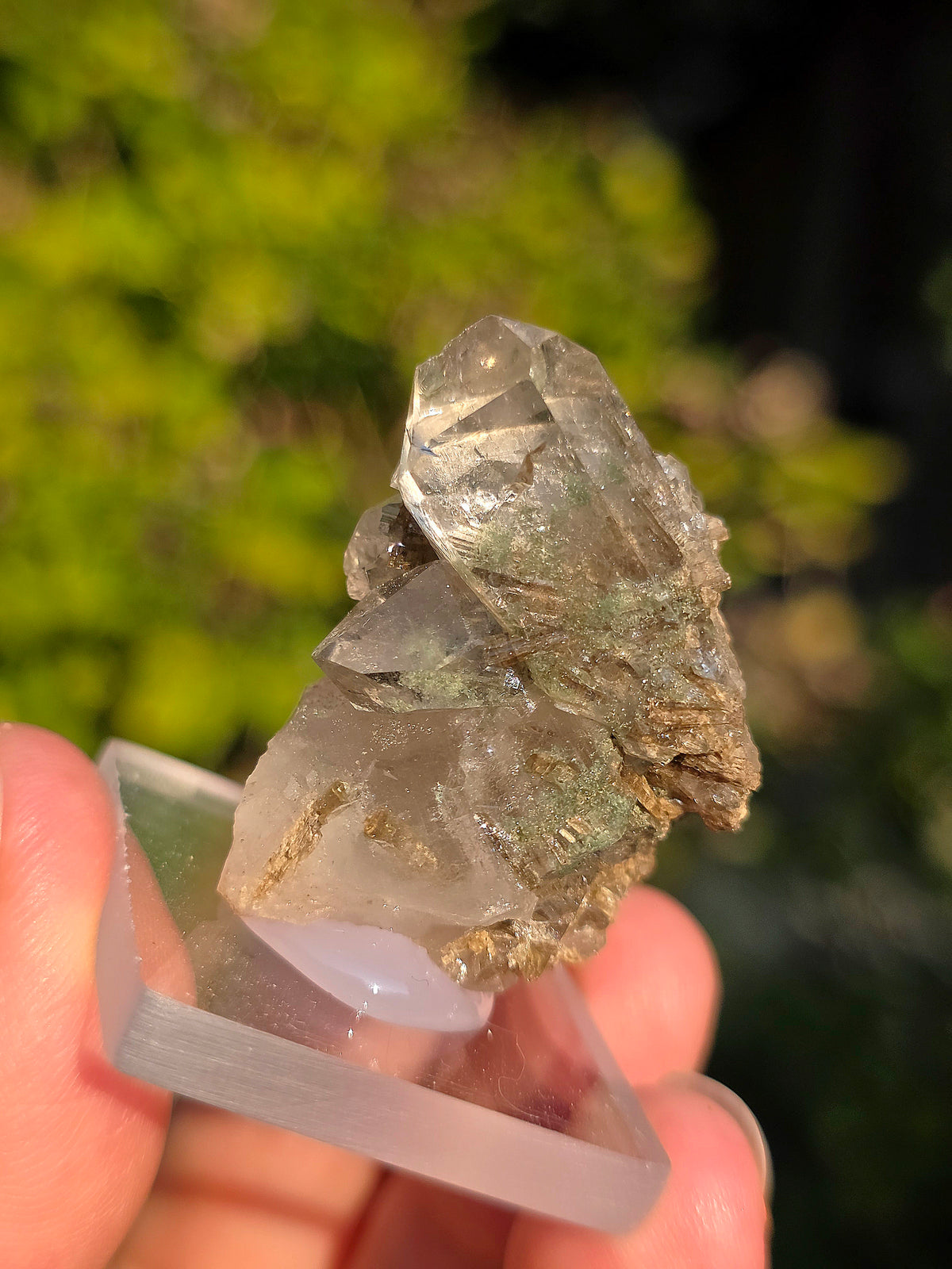 Quartz avec Chlorite et épidote d'Arrens, Pyrénées, France