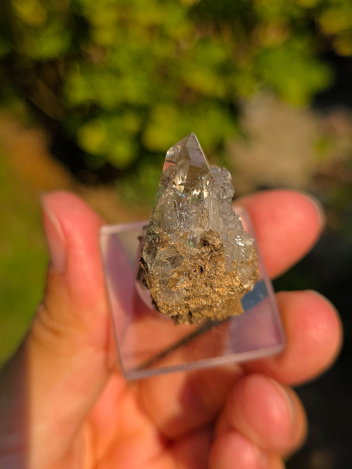 Quartz avec Chlorite et épidote d'Arrens, Pyrénées, France