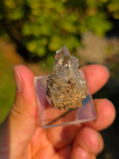 Quartz avec Chlorite et épidote d'Arrens, Pyrénées, France