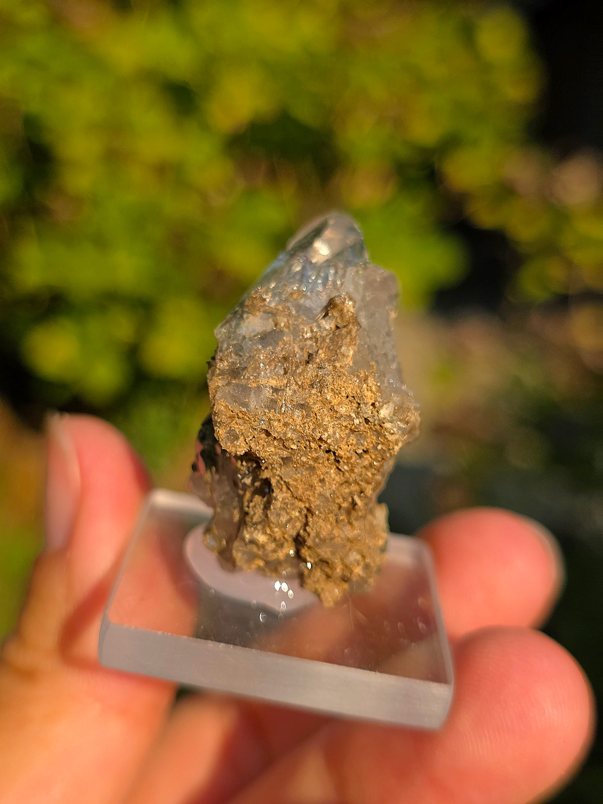Quartz avec Chlorite et épidote d'Arrens, Pyrénées, France