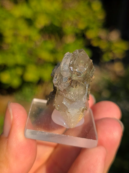 Quartz avec Chlorite et épidote d'Arrens, Pyrénées, France