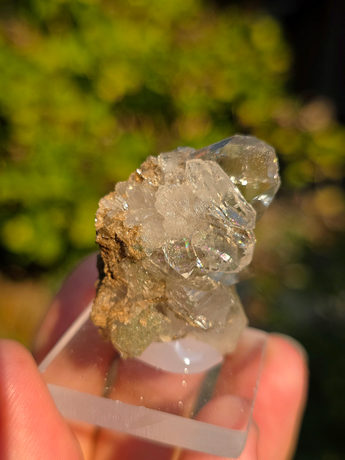 Quartz avec Chlorite et épidote d'Arrens, Pyrénées, France