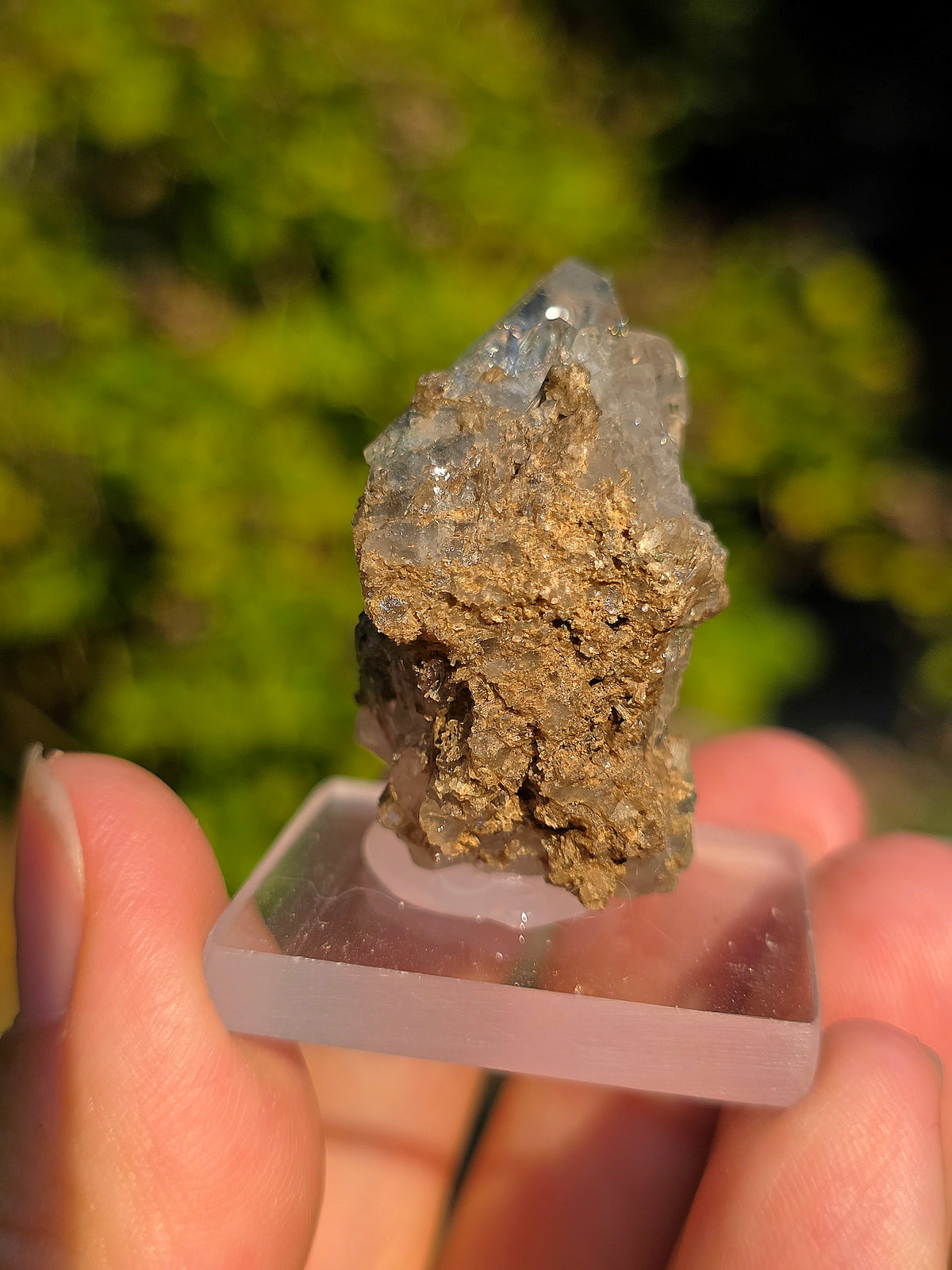 Quartz avec Chlorite et épidote d'Arrens, Pyrénées, France