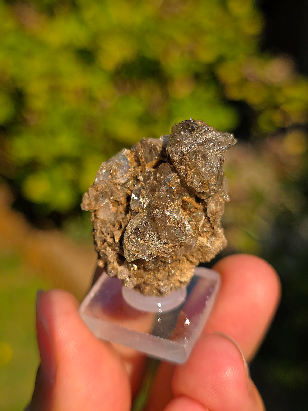 Quartz avec inclusions d'épidote français
