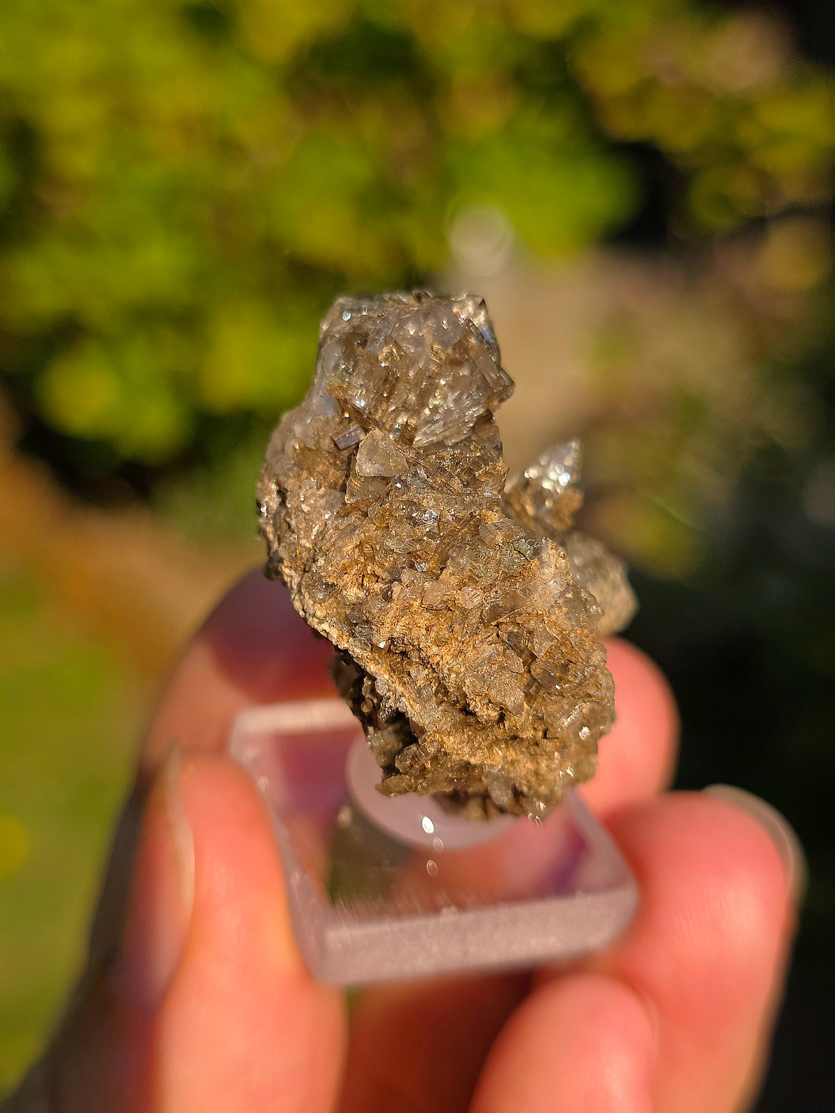 Quartz avec inclusions d'épidote