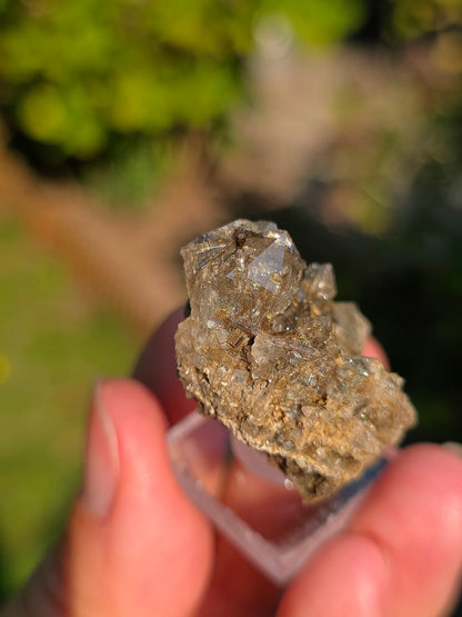 Quartz avec inclusions d'épidote