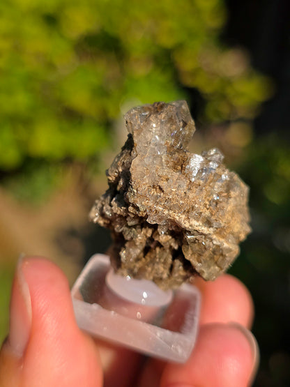 Quartz avec inclusions d'épidote français