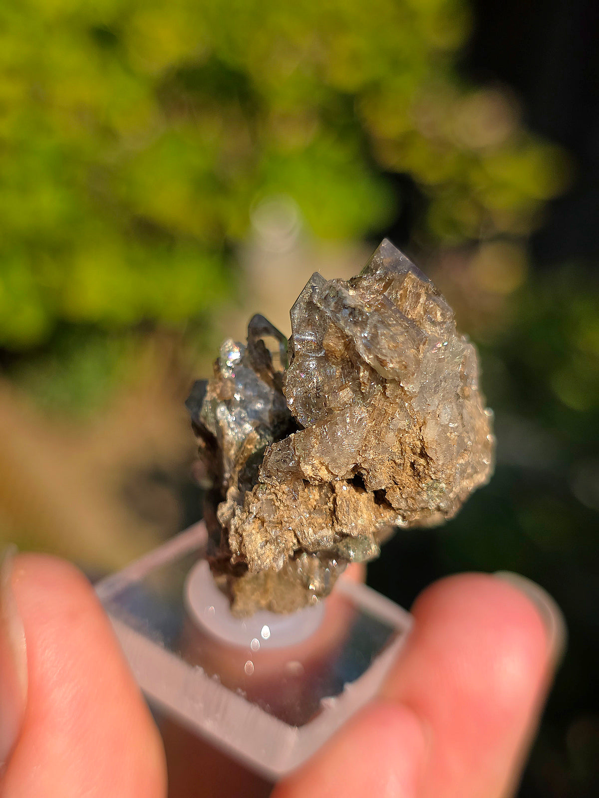Quartz avec inclusions d'épidote des Pyrénées