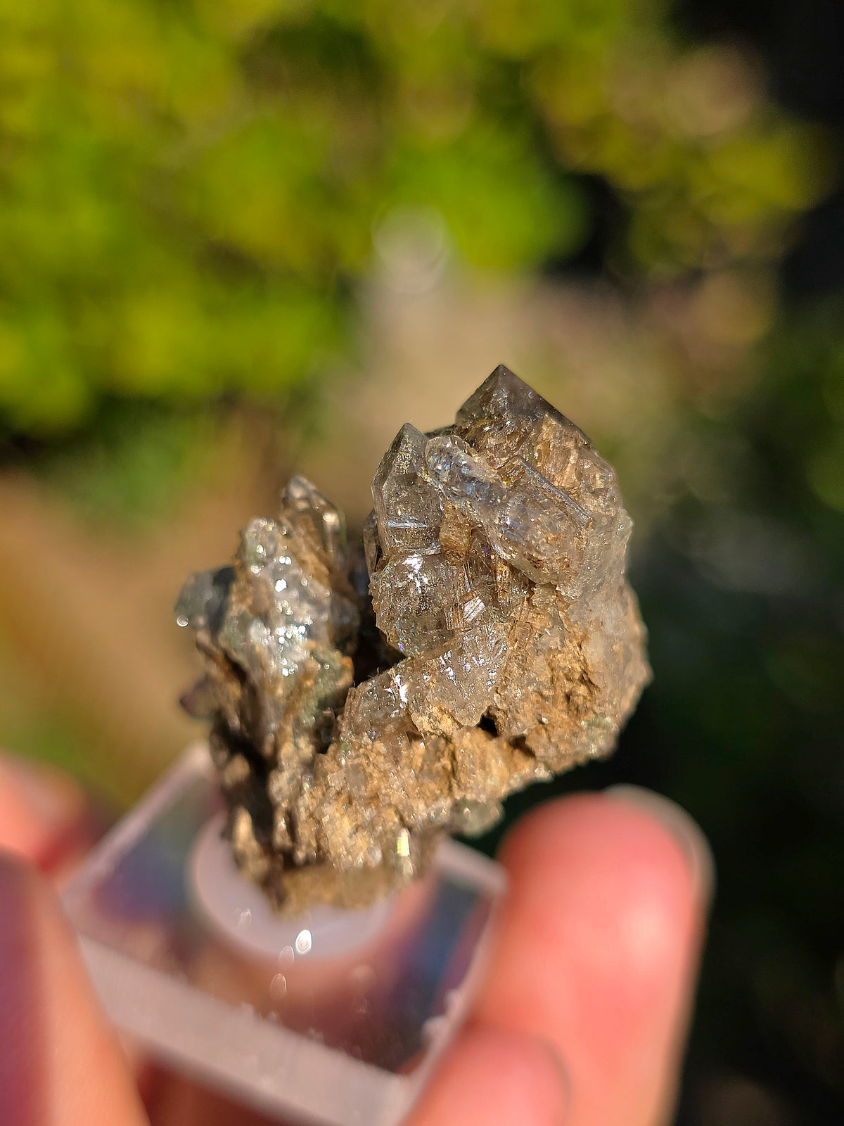 Quartz avec inclusions d'épidote des Pyrénées