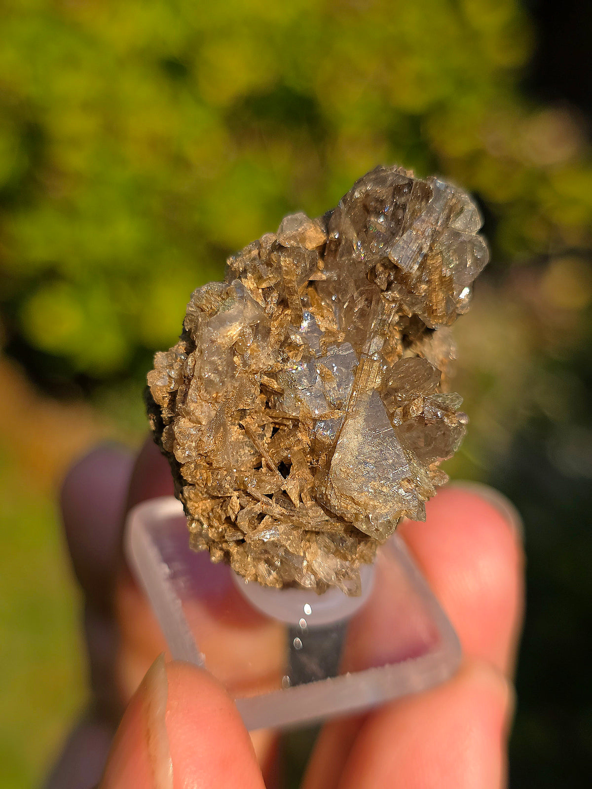 Quartz avec inclusions d'épidote des Pyrénées