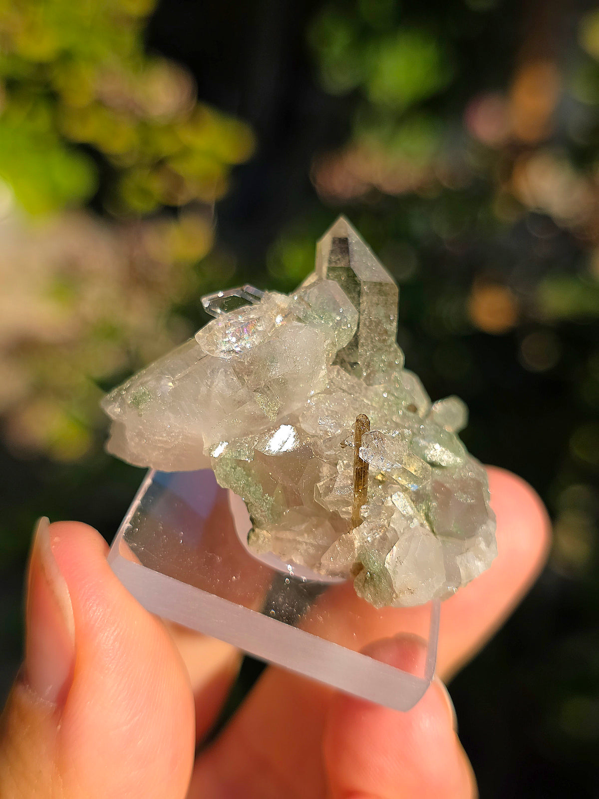 Quartz avec Chlorite et épidote des Pyrénées