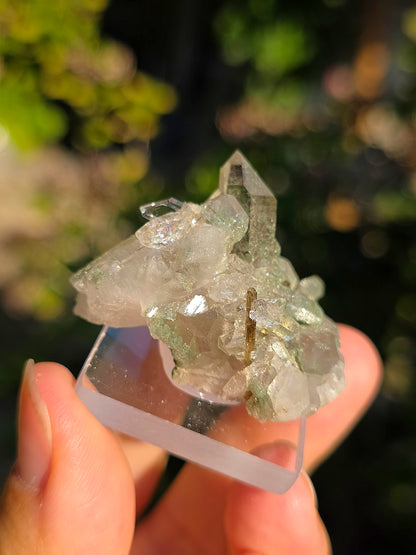 Quartz avec Chlorite et épidote des Pyrénées