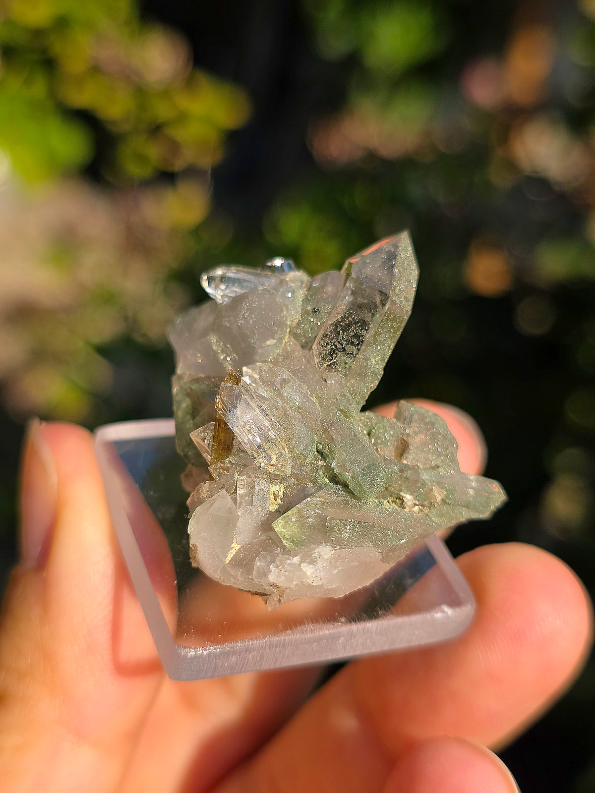 Quartz avec Chlorite et épidote d'Arrens, Pyrénées, France