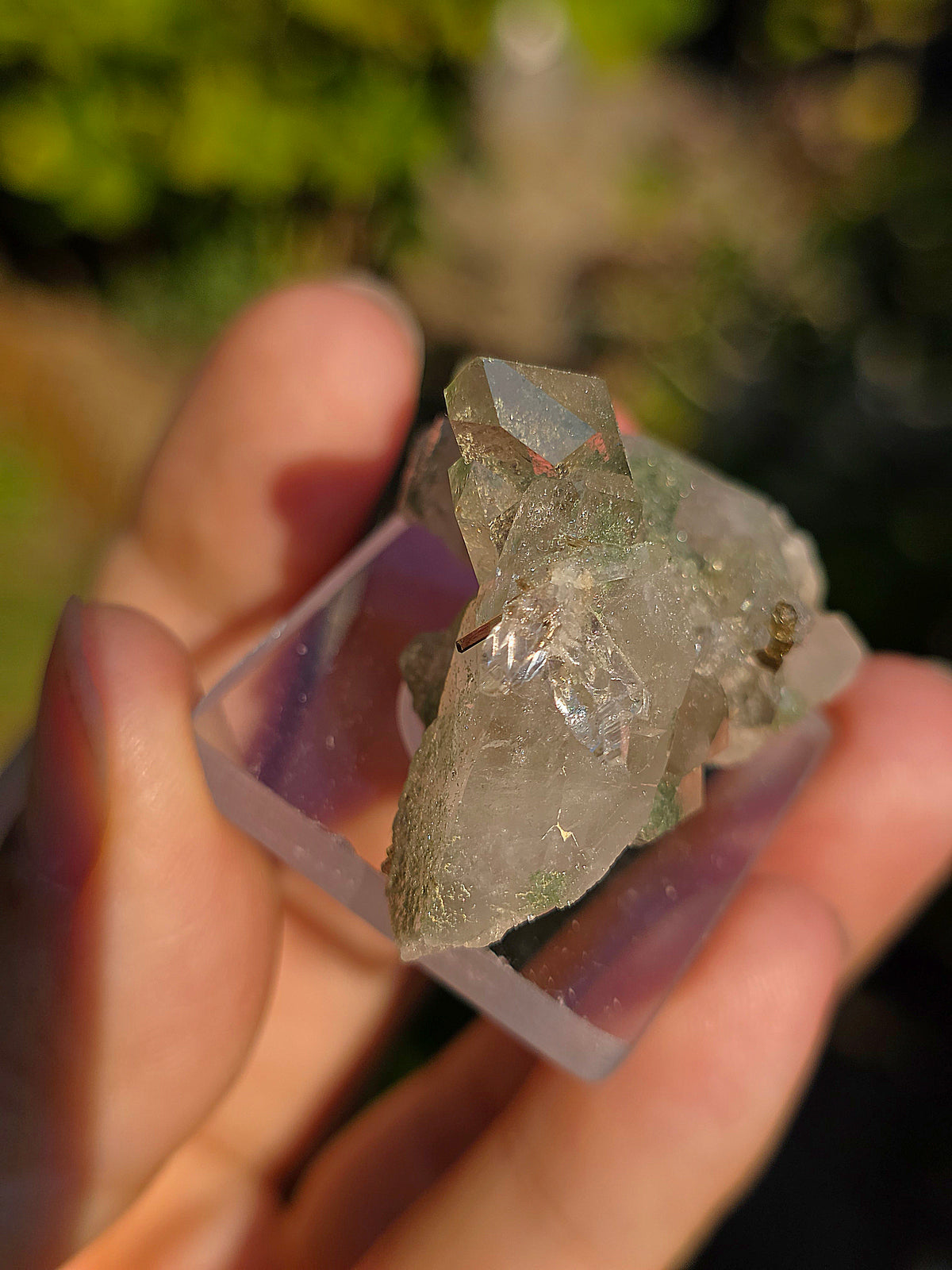 Quartz avec Chlorite et épidote d'Arrens, Pyrénées, France