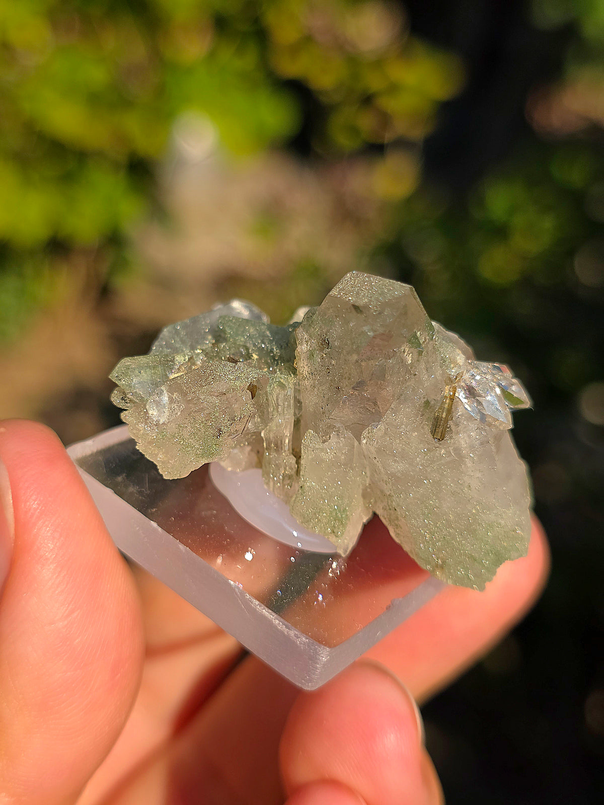 Quartz avec Chlorite et épidote d'Arrens, Pyrénées, France