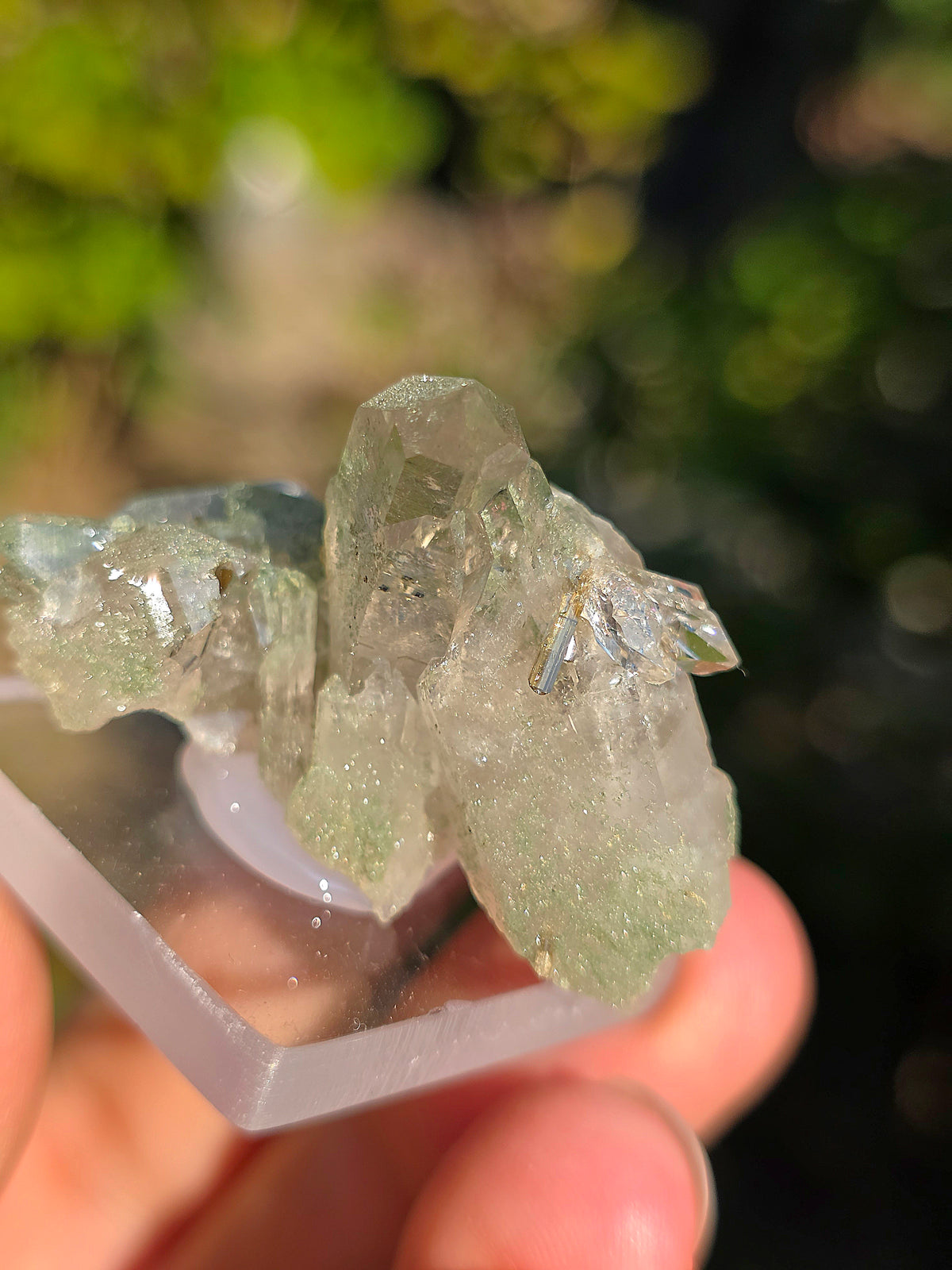 Quartz avec Chlorite et épidote d'Arrens, Pyrénées, France