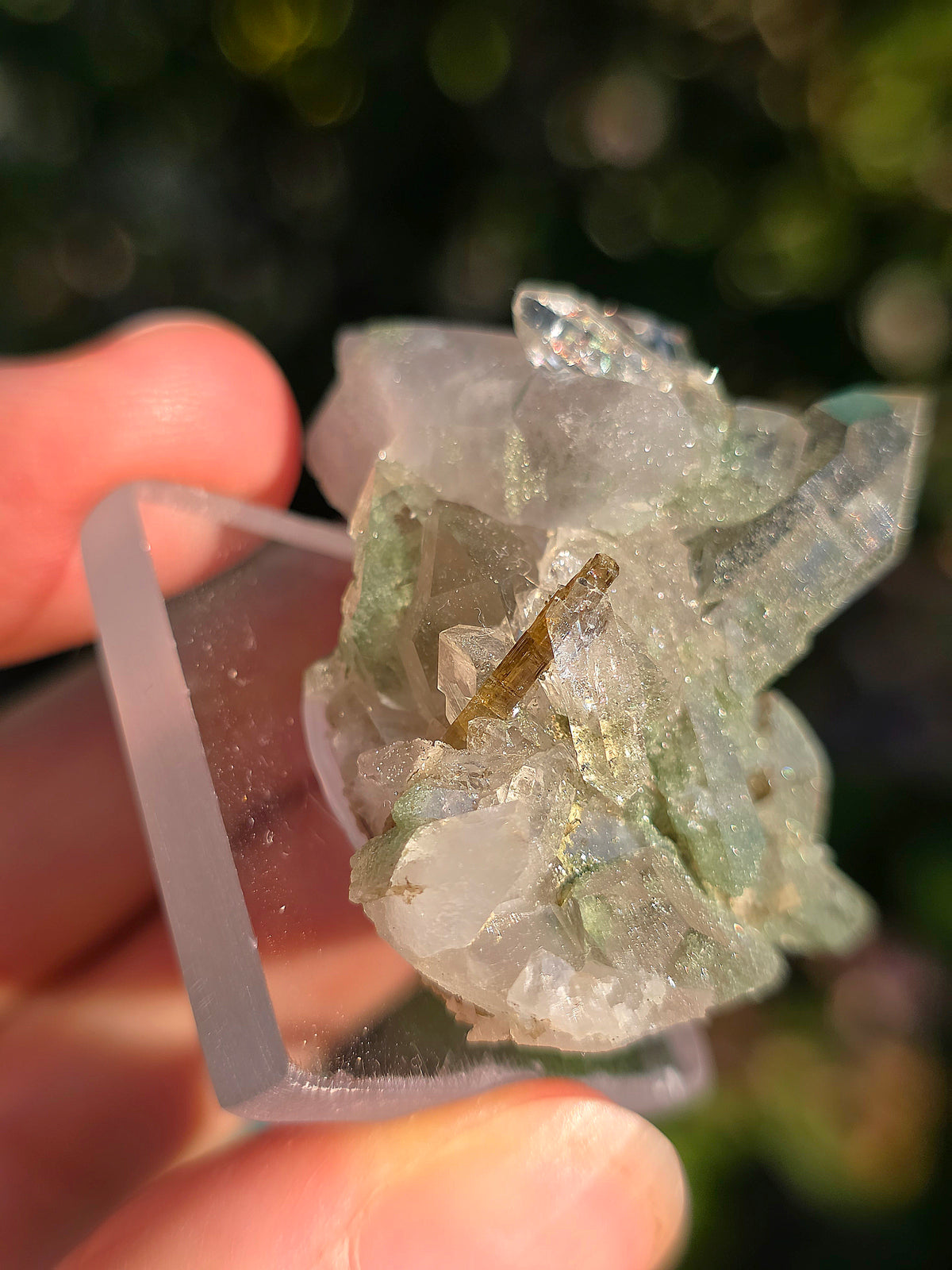 Quartz avec Chlorite et épidote d'Arrens, Pyrénées, France