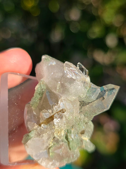 Quartz avec Chlorite et épidote d'Arrens, Pyrénées, France