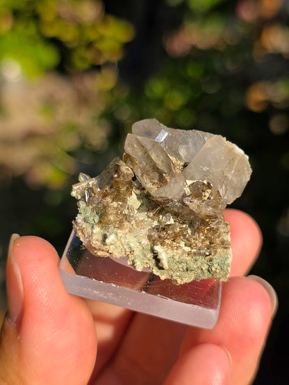 Quartz avec Chlorite et épidote des Pyrénées, France