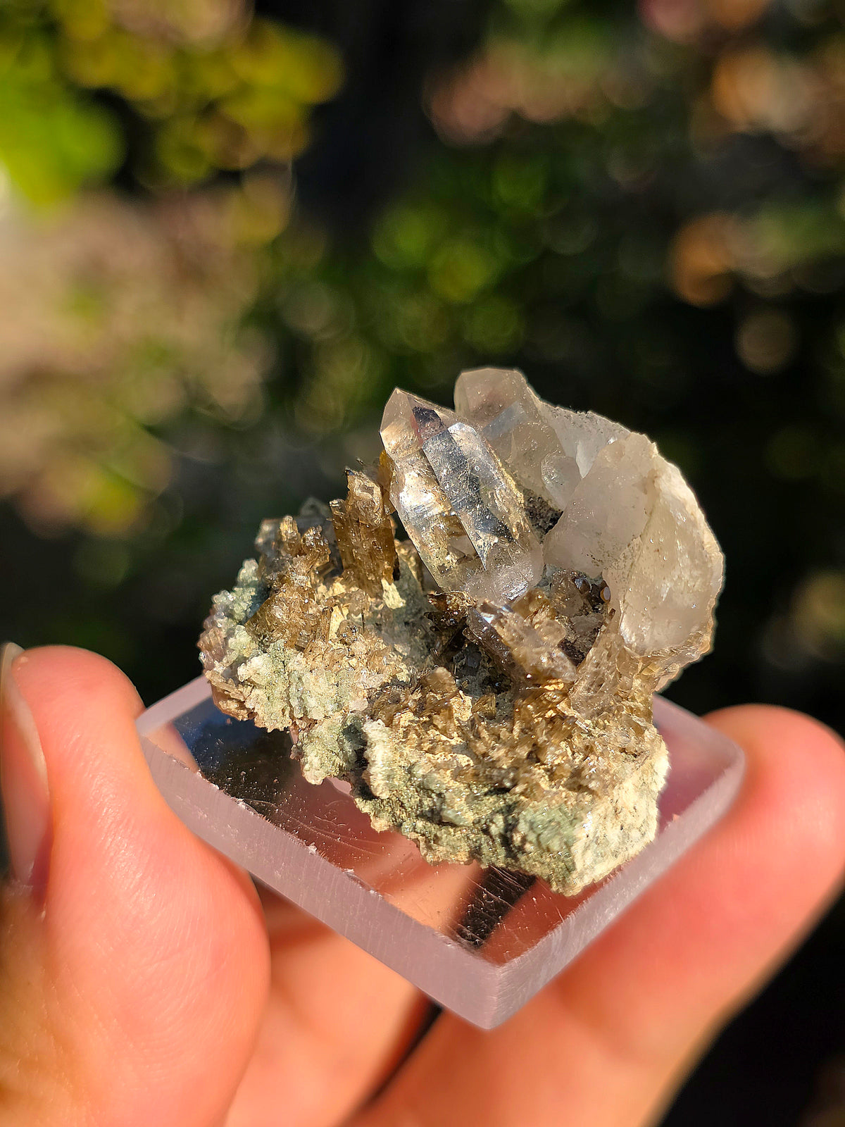 Quartz avec Chlorite et épidote des Pyrénées, France