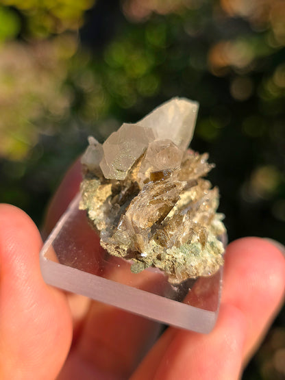 Quartz avec Chlorite et épidote des Pyrénées, France