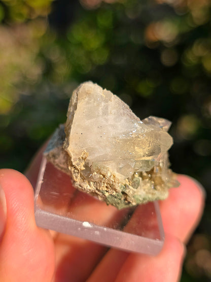Quartz avec Chlorite et épidote des Pyrénées, France