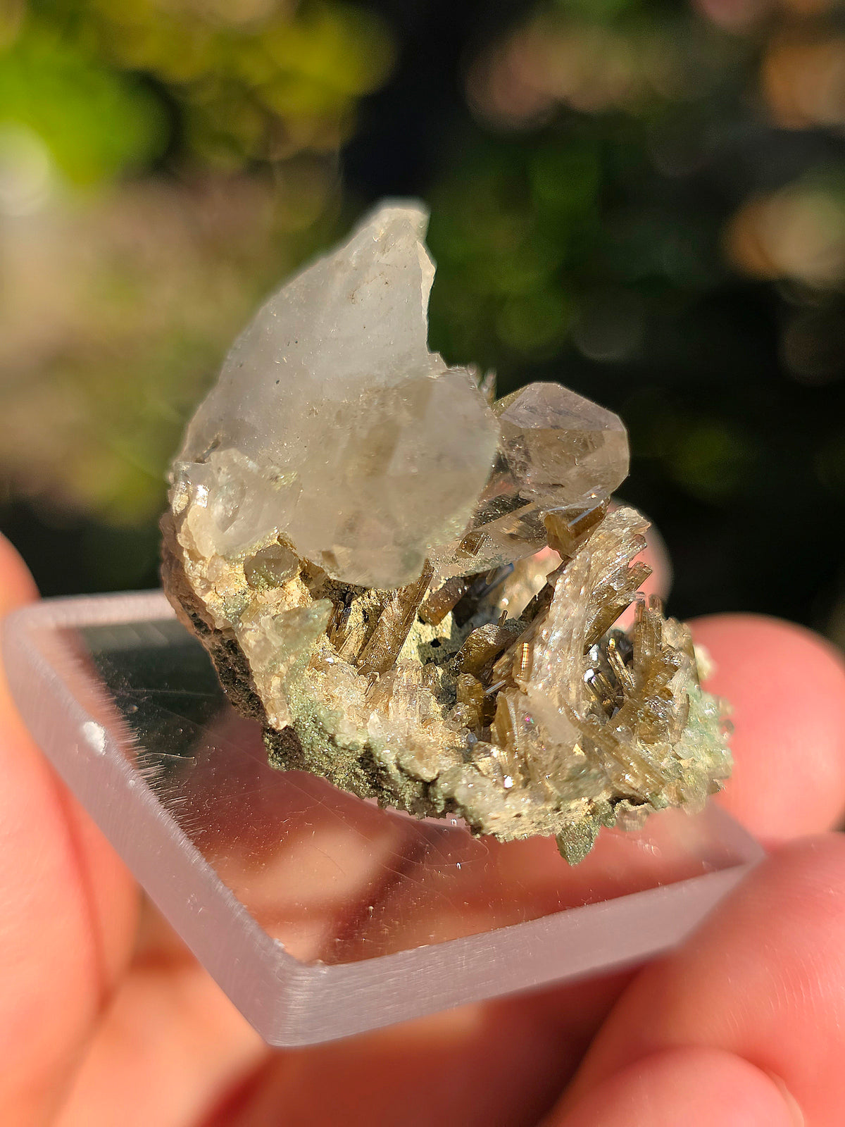 Quartz avec Chlorite et épidote des Pyrénées, France