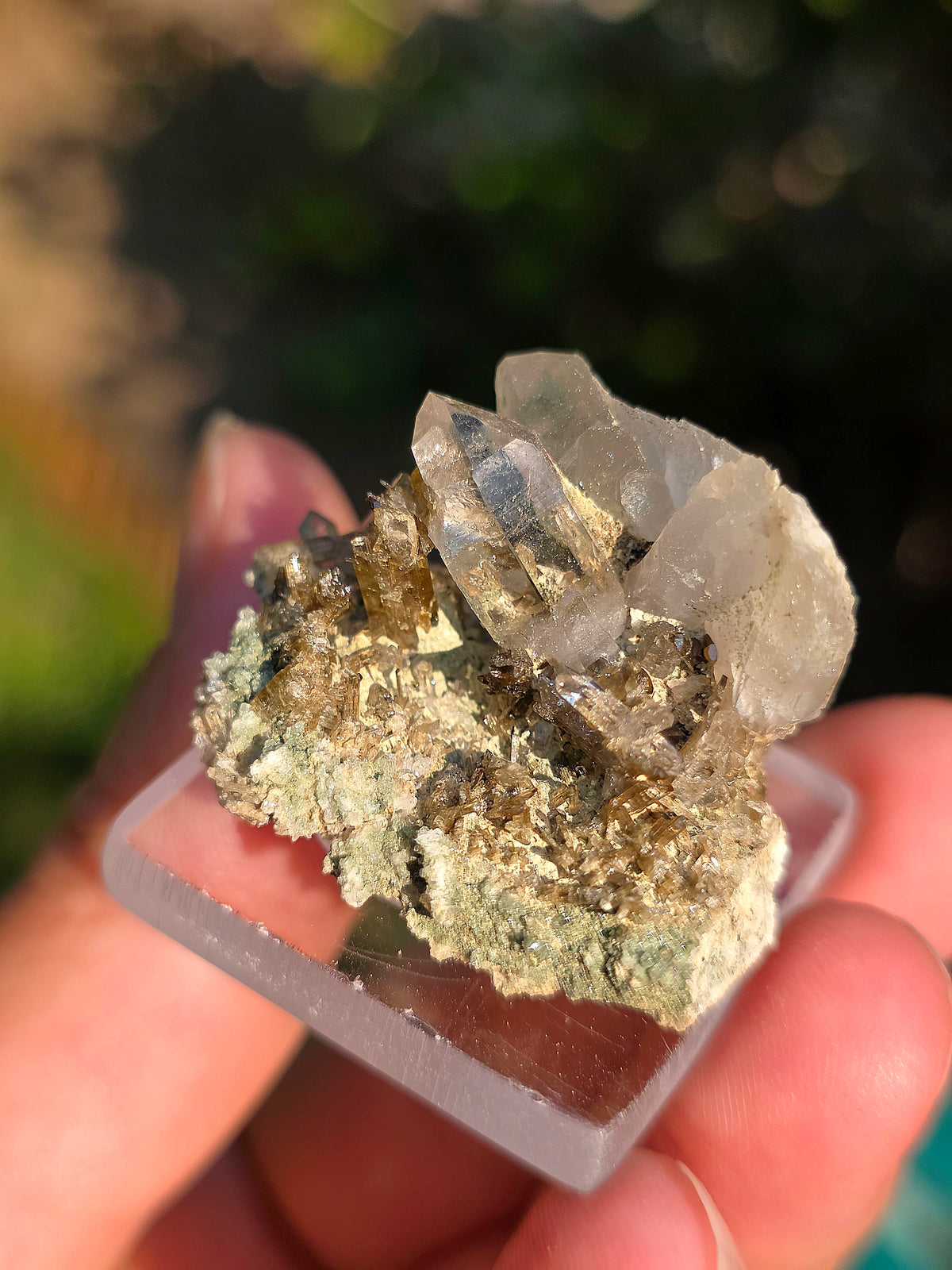 Quartz avec Chlorite et épidote des Pyrénées, France