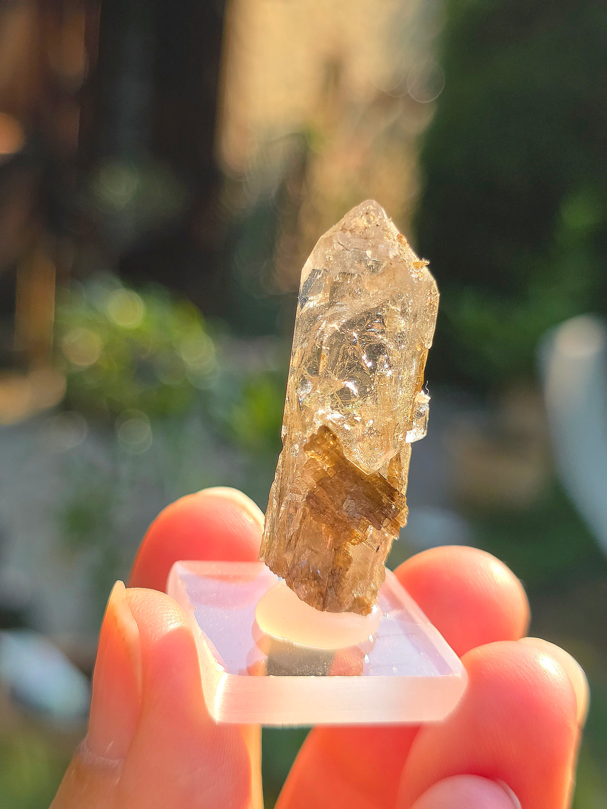 Quartz avec inclusions d'épidote des Pyrénées