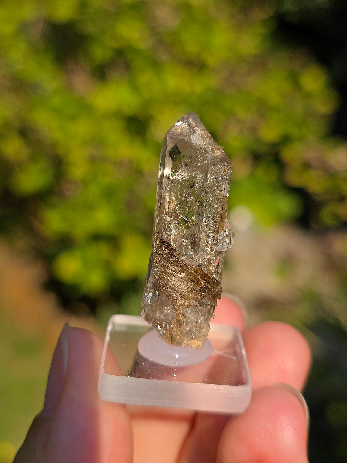 Quartz avec inclusions d'épidote des Pyrénées