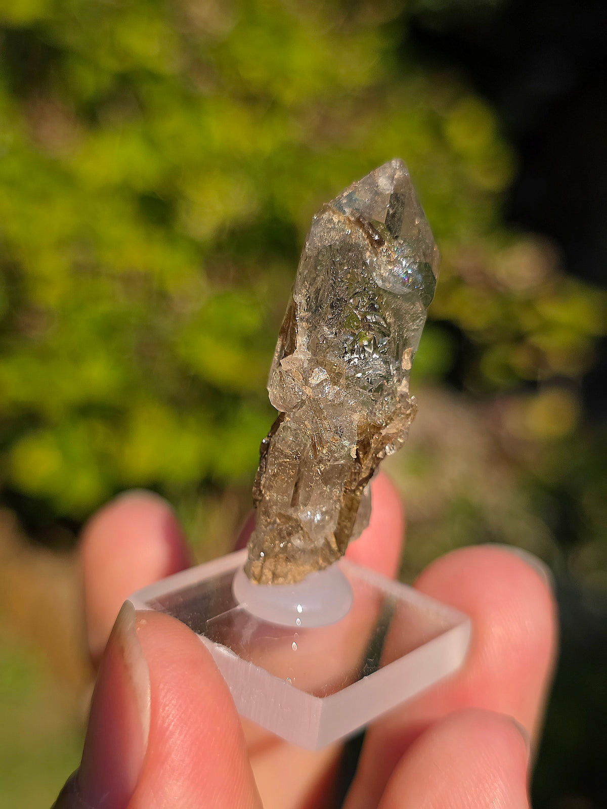 Quartz avec inclusions d'épidote des Pyrénées